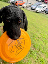 LPS Frisbee